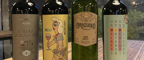 VINOS - BODEGA CASA ARAUJO